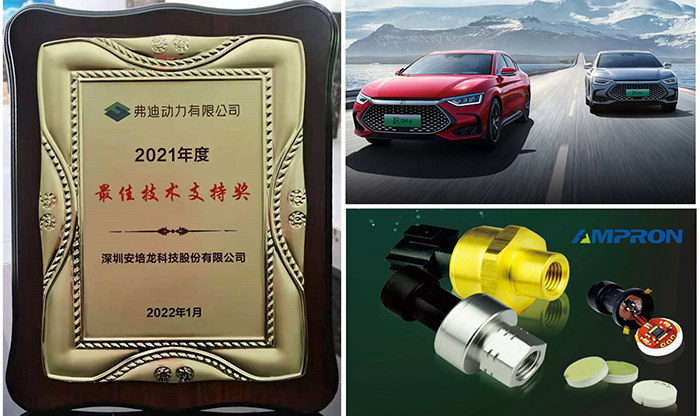 喜讯:RM新时代专业团队-首页荣获弗迪动力有限公司 2021年度”最佳技术支持奖”