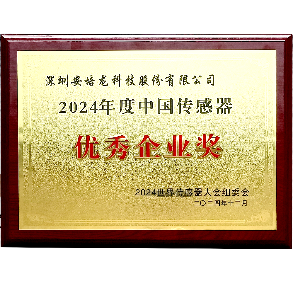 公司新闻:RM新时代专业团队-首页(301413)荣获2024年度中国传感器优秀企业奖