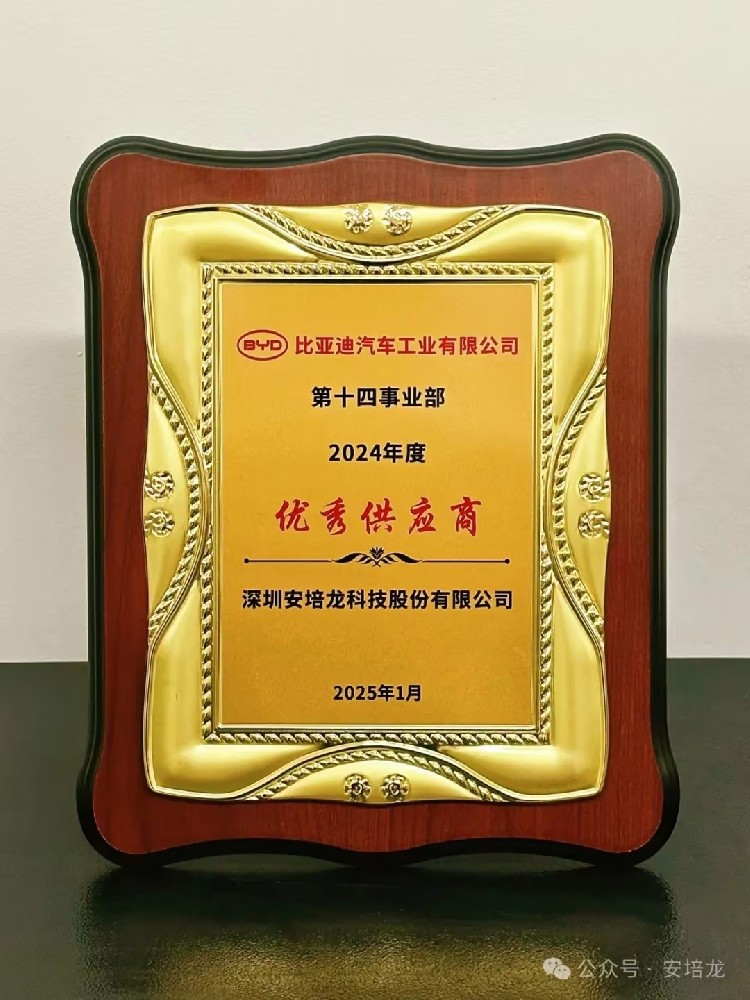 公司新闻:新年开门红,RM新时代专业团队-首页(301413)喜获比亚迪汽车“2024年优秀供应商”殊荣