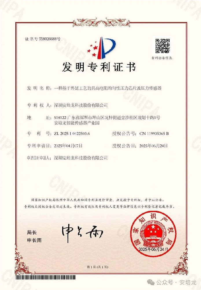 公司新闻:RM新时代专业团队-首页(301413)双项专利重磅加码,定义智能感知新范式